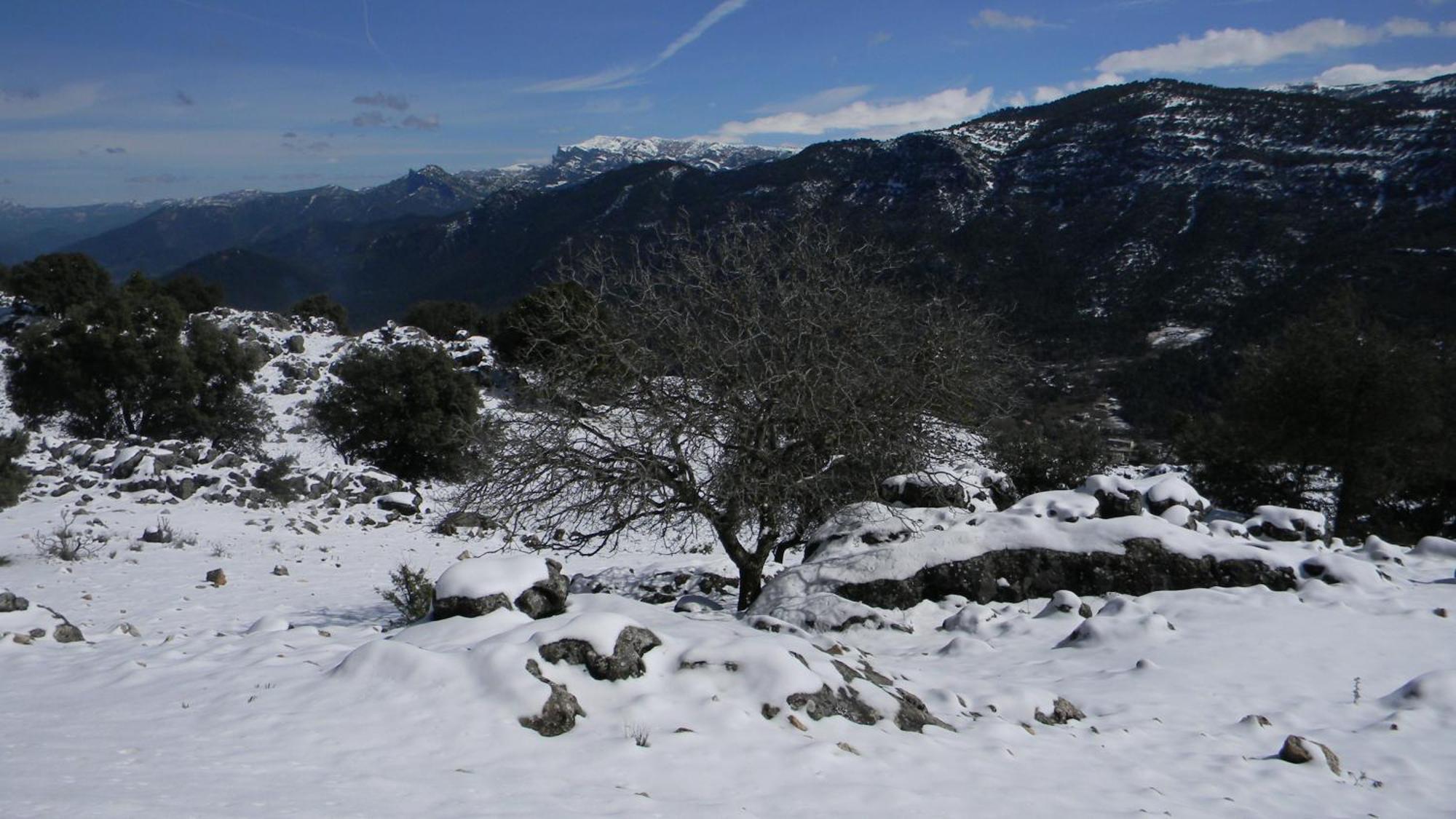 Casa Rural Fuente Zagrilla Εξωτερικό φωτογραφία